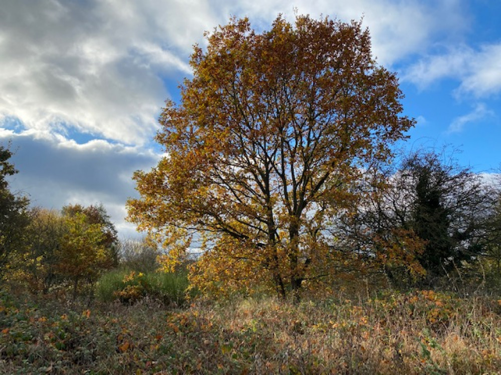 Take a look at what's happening in Hucknall today. Photo Credit: Hucknall Nub News.