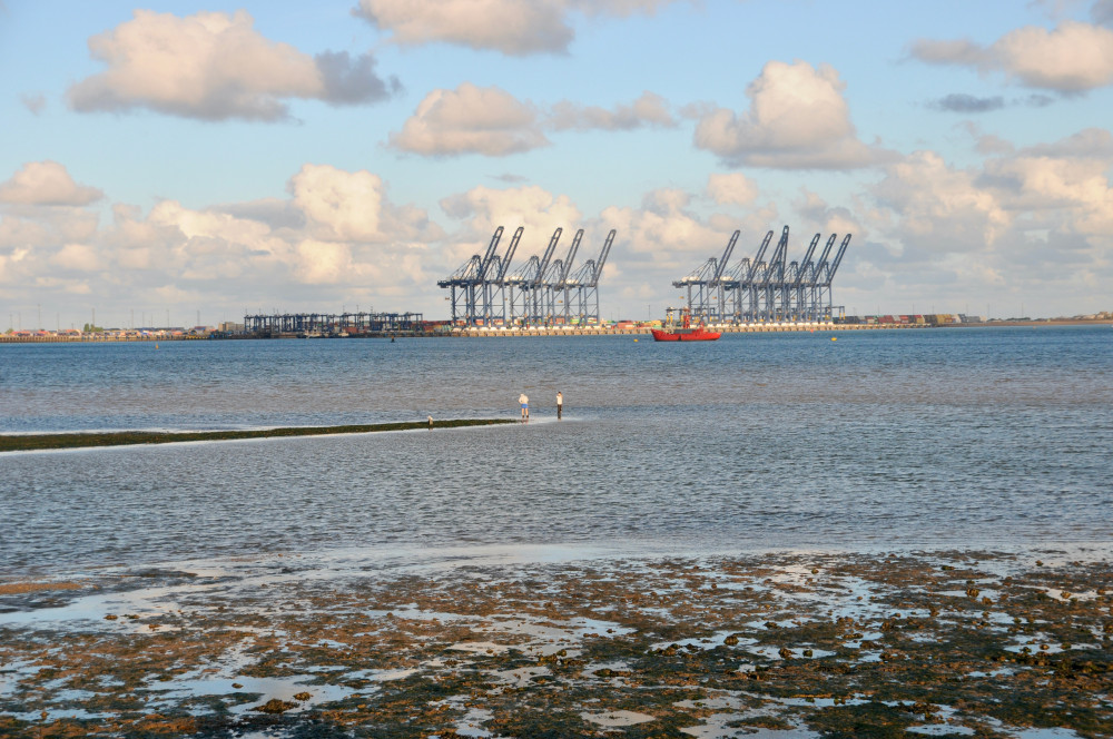 Cranes lying idle at mpty docks 