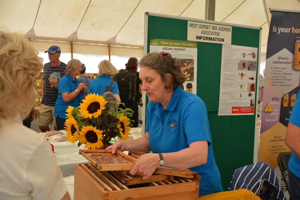 Melplash Show (Image: Andy Potter Photography)