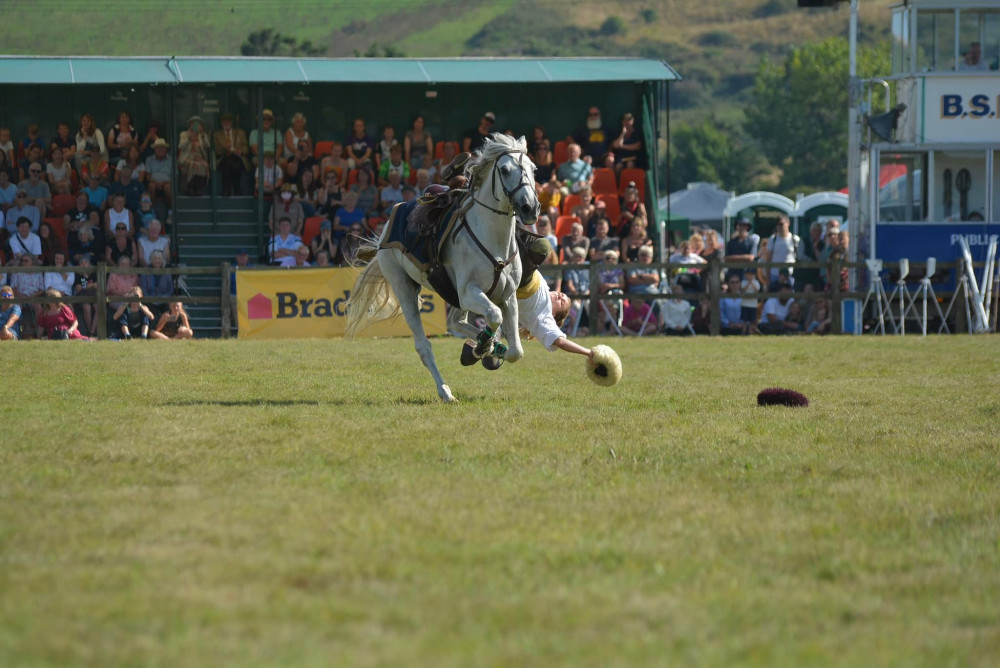 Melplash Show (Image: Andy Potter Photography)