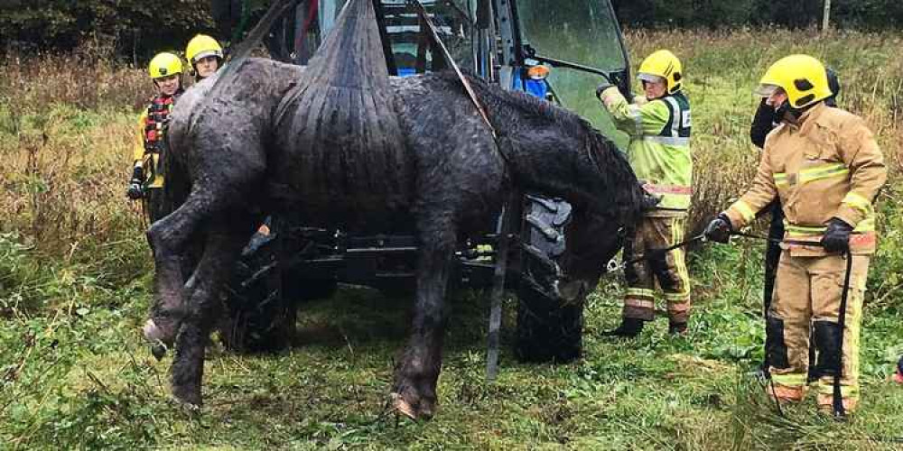 Image credit: Staffordshire Fire and Rescue Service Image credit: Staffordshire Fire and Rescue Service