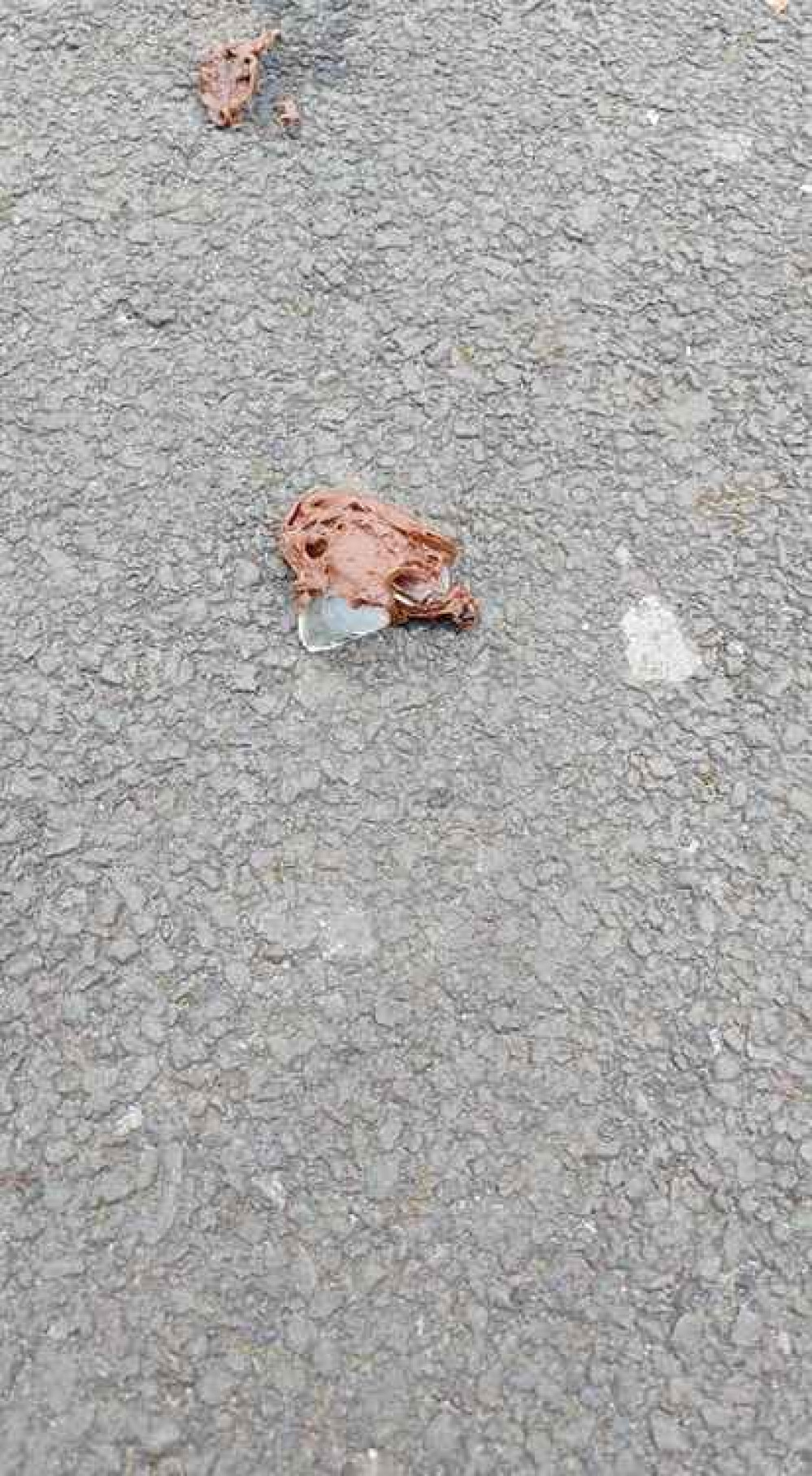 What appeared to be pieces of chocolate with glass inside was spotted at a local park