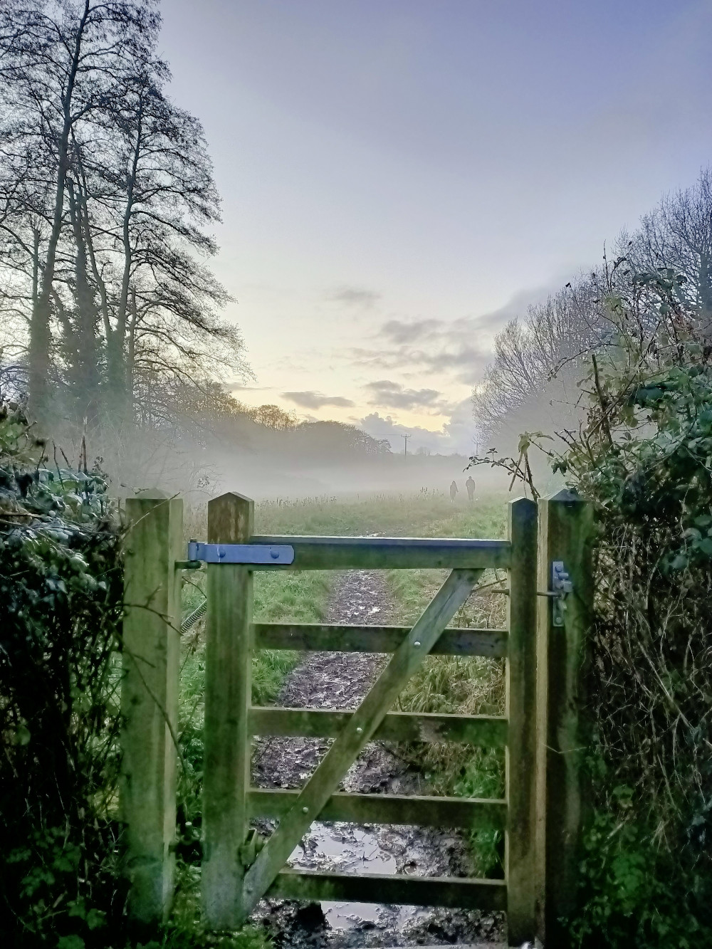 A view into the footpath in December 2021 A view into the footpath in December 2021