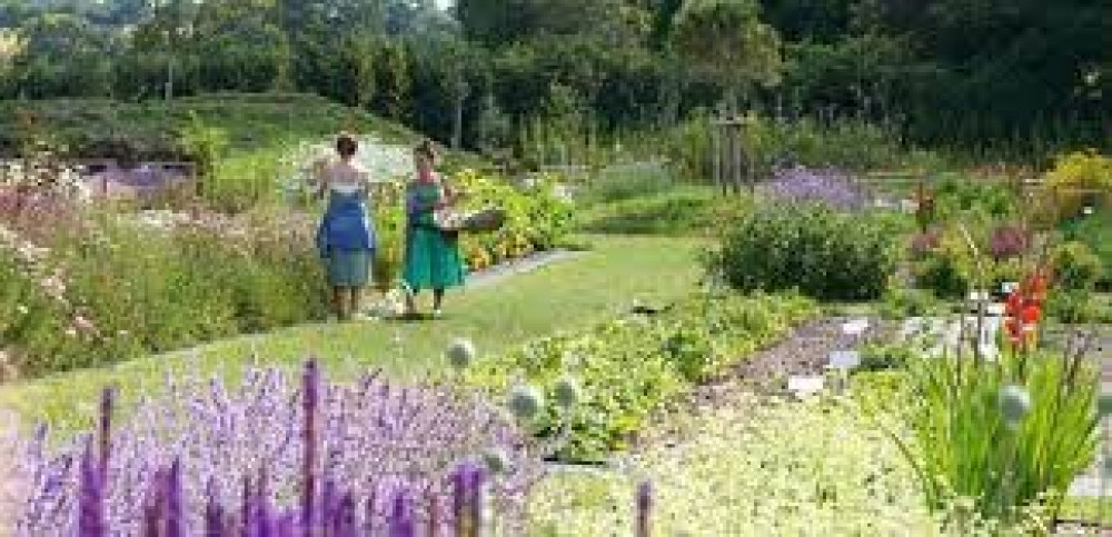 Would you like to hear about setting up an organic flower farm?