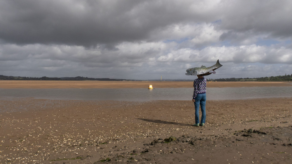 The Salmon Run will begin in Exmouth (Tidelines) The Salmon Run will begin in Exmouth (Tidelines)