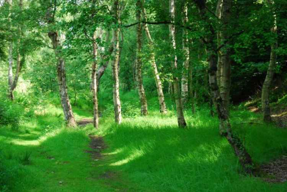 Image: The Mersey Forest Image: The Mersey Forest