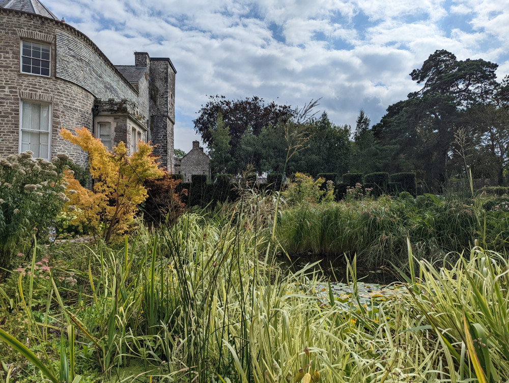 Llandough Castle Gardens