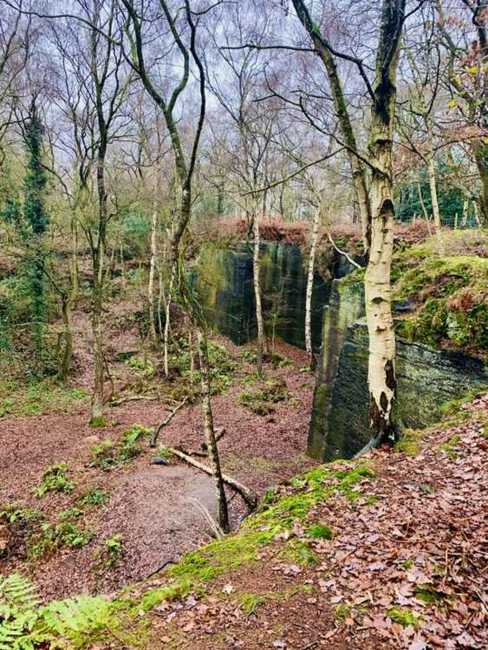 The old quarry in Harmers Wood The old quarry in Harmers Wood