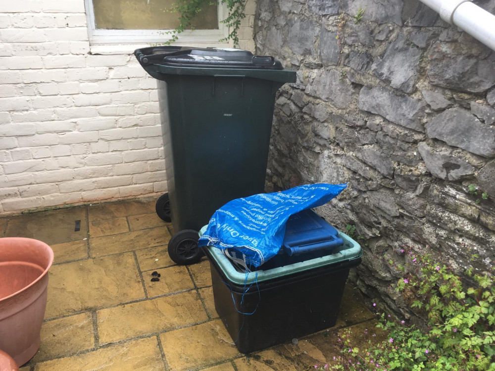 Teignbridge bins