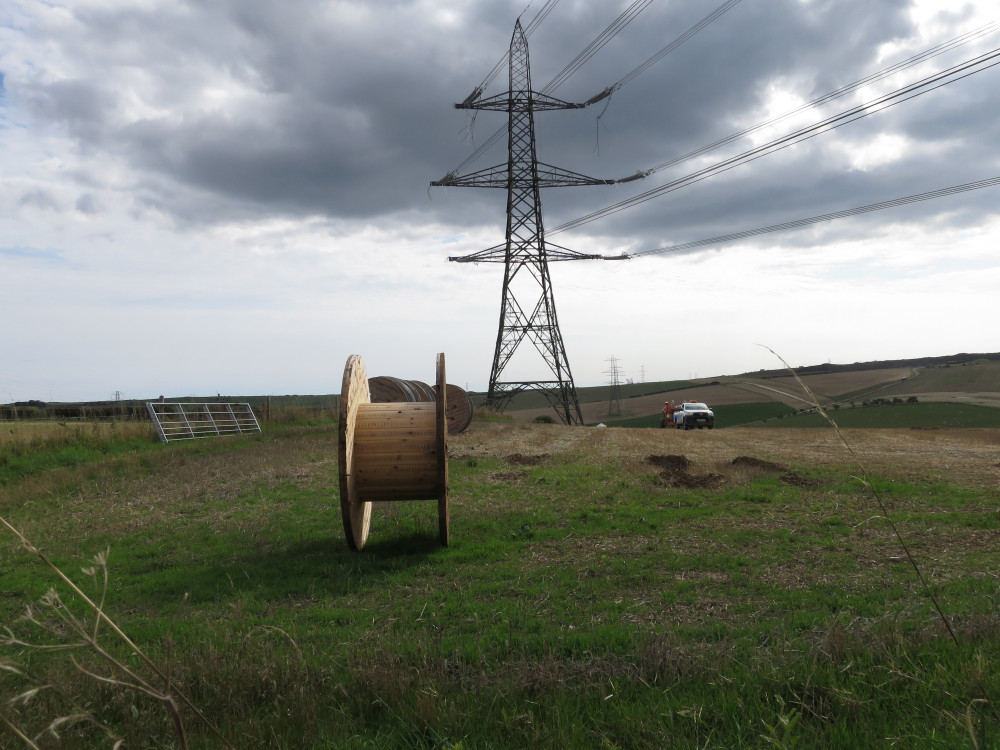 Pylons between Martinstown and the Hardy monument.