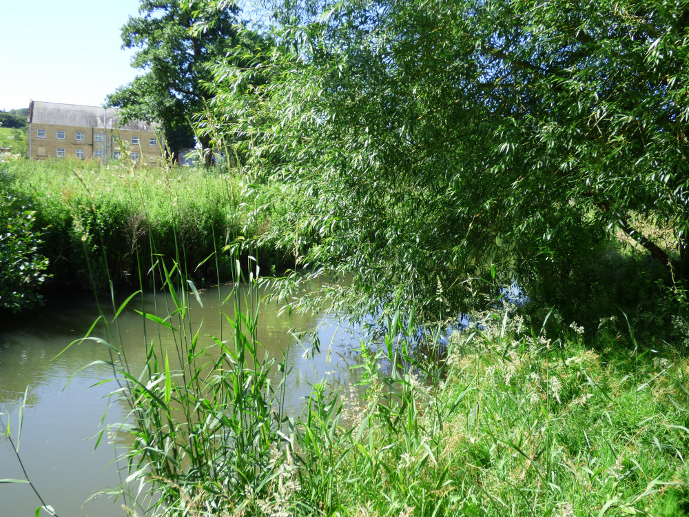 Great Big Green Week - how you can help monitor rivers