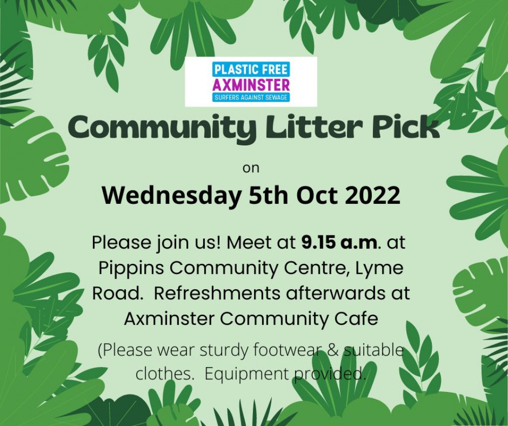 Plastic Free Axminster Community Litter Pick