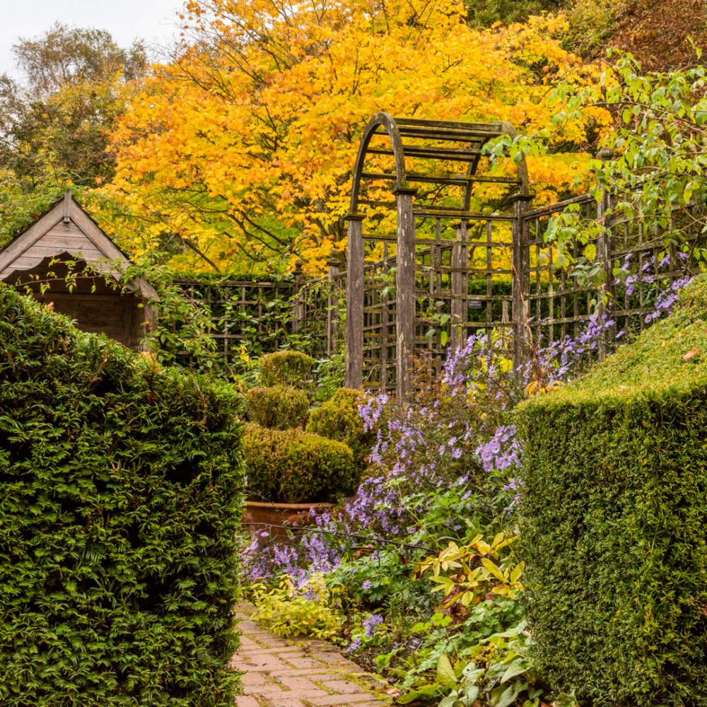 Autumn in the garden Autumn in the garden