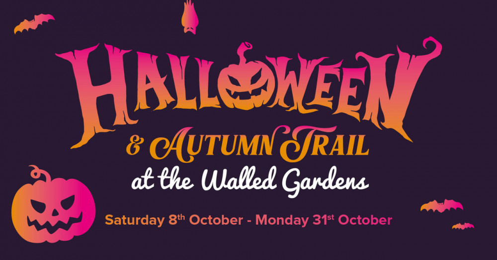 Halloween trail