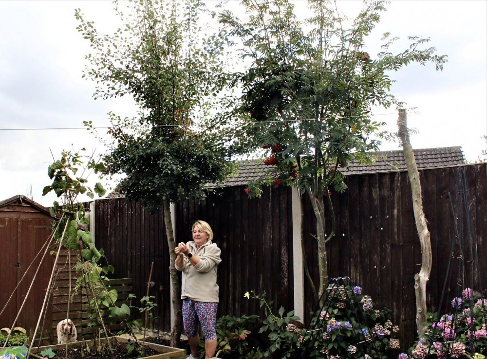 Ann Ramsell, from Ashby, with her Pear and Rowan trees as they are today Ann Ramsell, from Ashby, with her Pear and Rowan trees as they are today