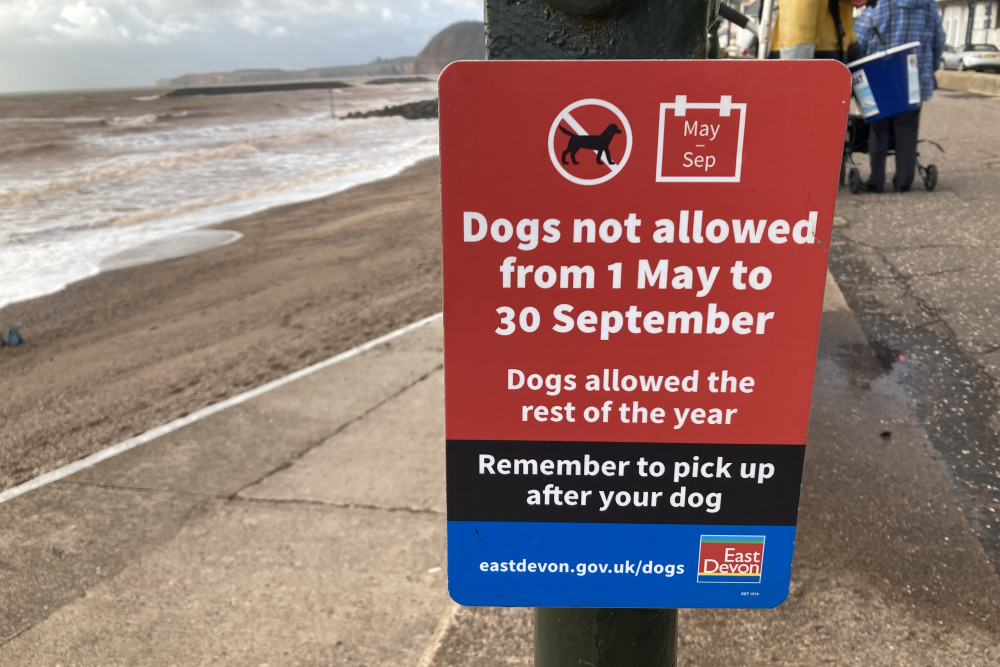 EDDC sign on Sidmouth seafront indicating dog beach ban duration (Nub News/ Will Goddard)