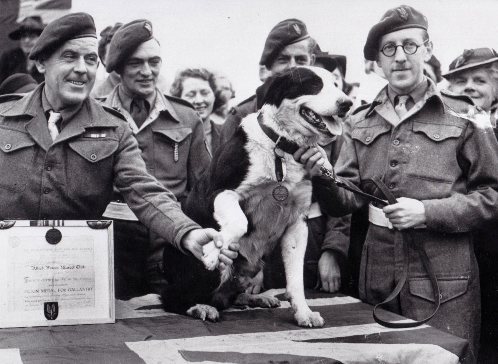 War Dog Rob VC winner