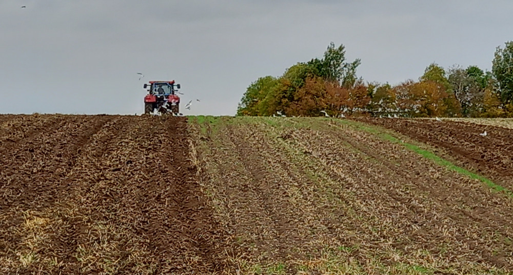 Peninsula farmer Andrew Packard (Picture: Nub News)