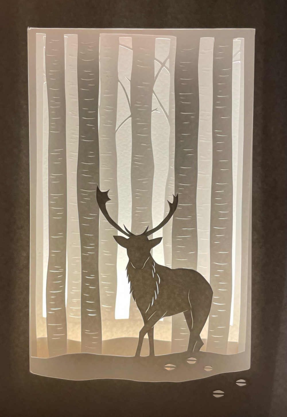 A paper cut light box is a magical way of creating a three- dimensional piece of art. By using light to enhance the hand-cut layers, beautiful shadows are cast, giving a subtle depth to the piece.