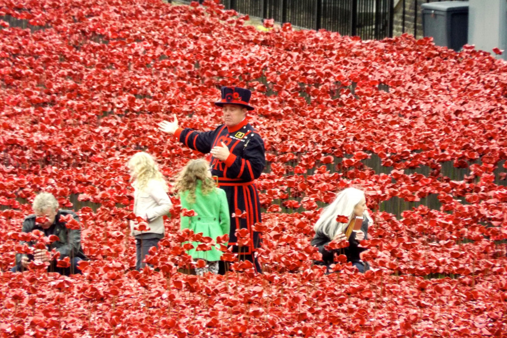 Poppy Appeal started