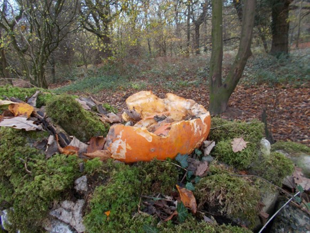 Rotten pumpkins (Picture Woodland Trust)