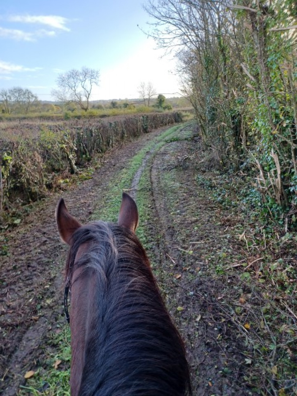 Riding down Society house restricted Byway