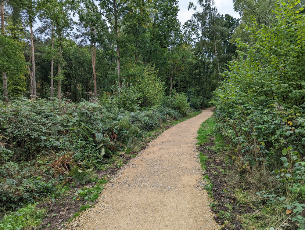 Creation of the paths has followed two seasons of woodland thinning (image via Warwick District Council)