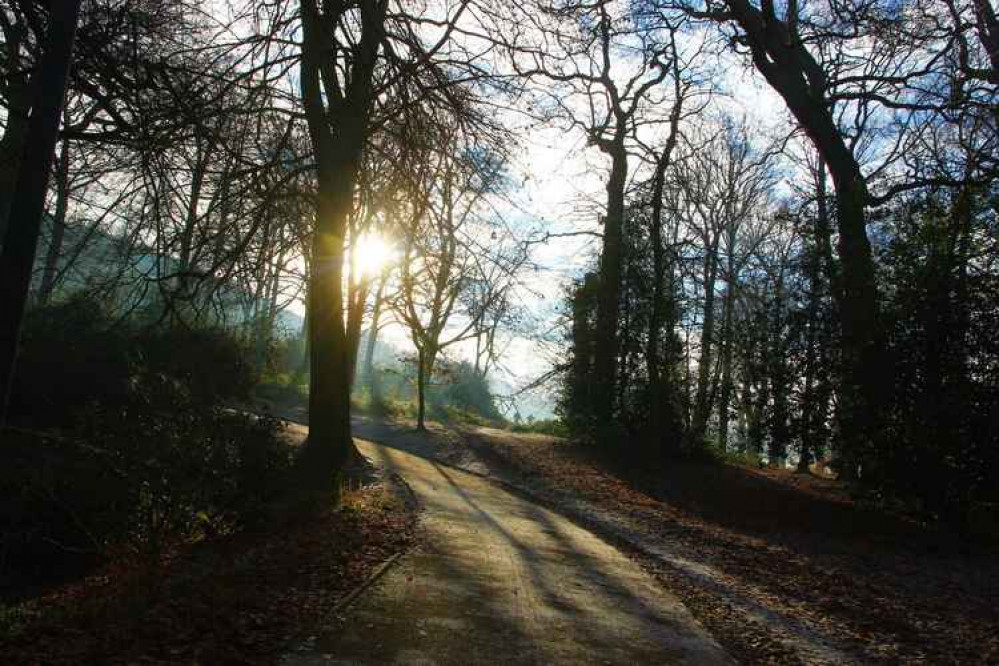 Photo by Andrew Woolmington Photo by Andrew Woolmington