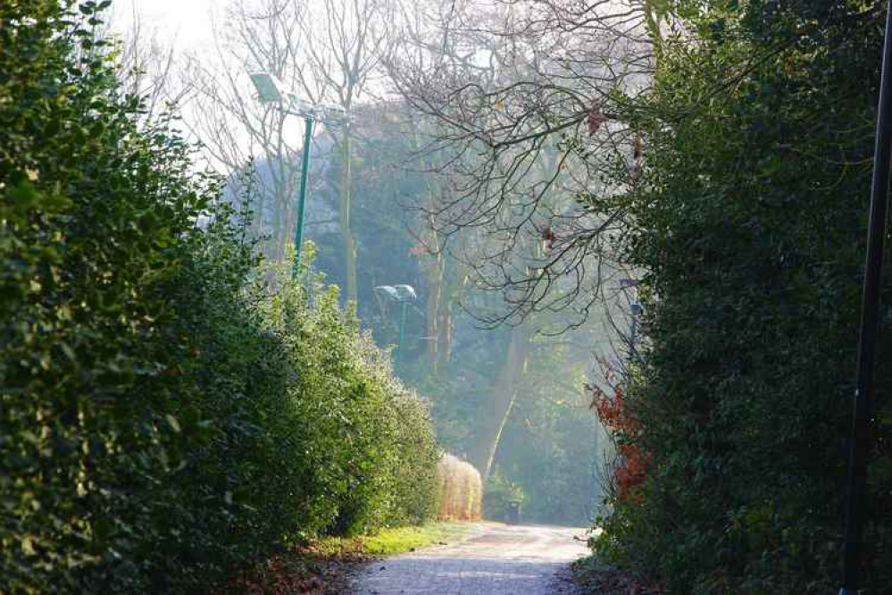 Photo by Andrew Woolmington Photo by Andrew Woolmington