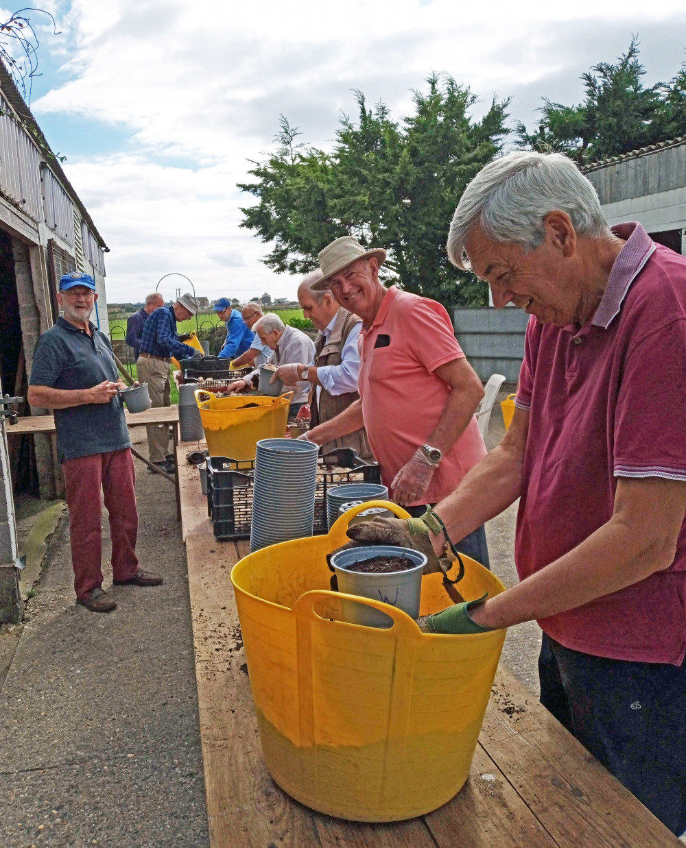 Planting the Bulbs