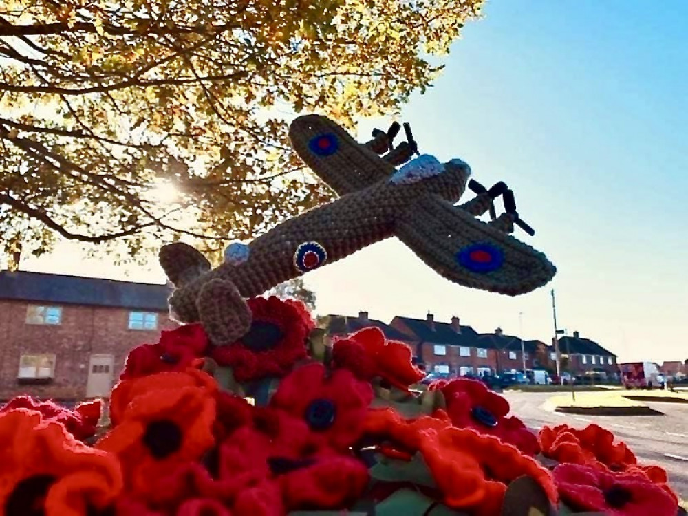 The knitted Remembrance Day tribute in Donisthorpe. Photo: Peter Gale