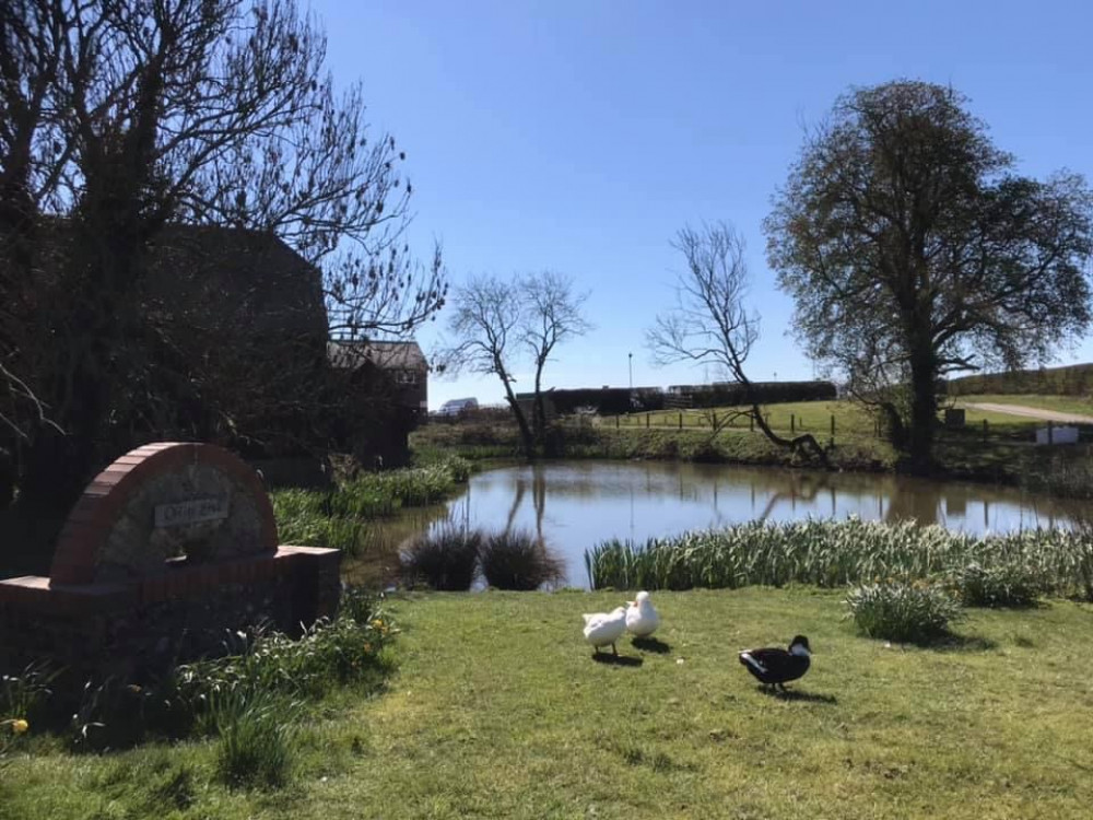 Offley Hoo Farm Offley Hoo Farm