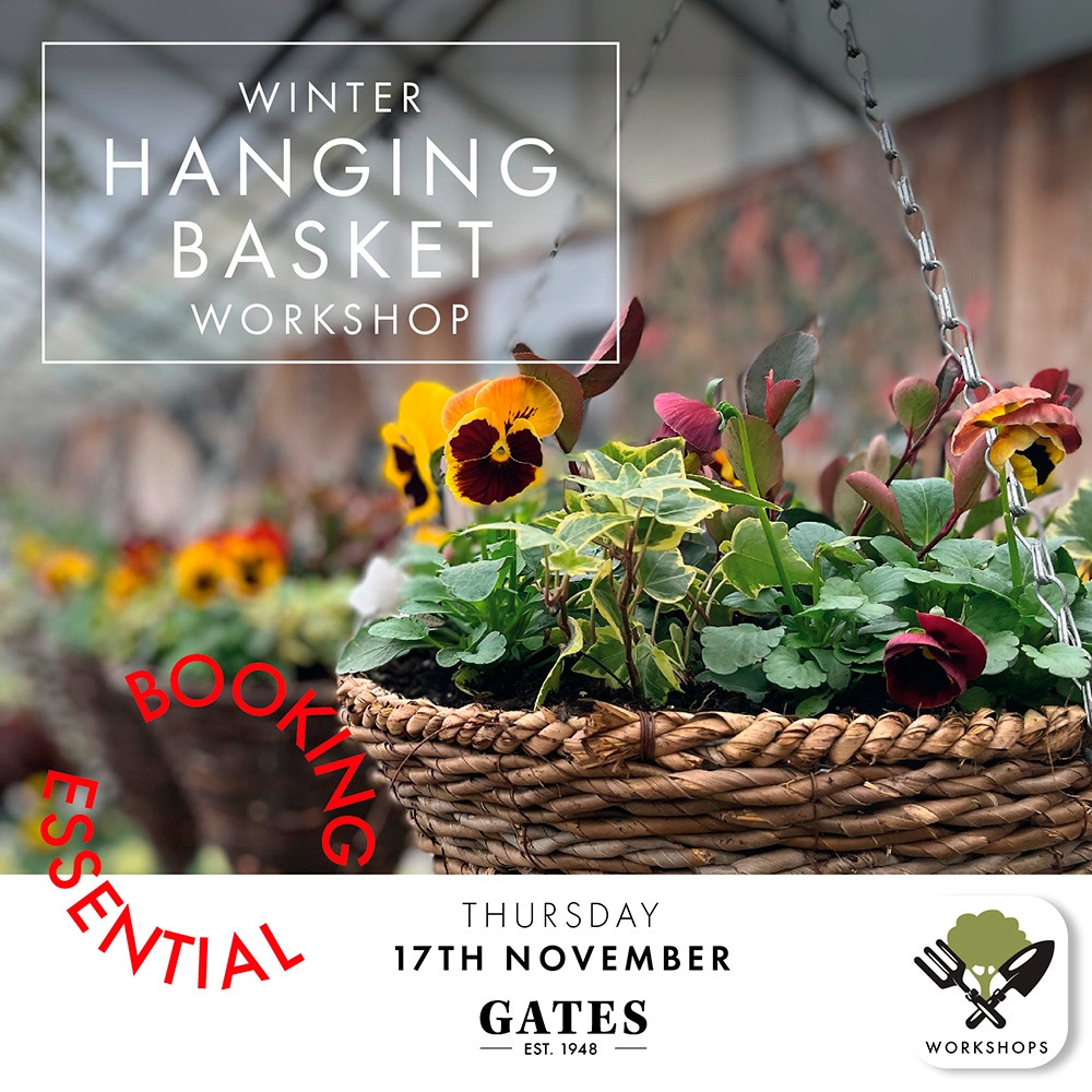 Image courtesy of Gates Garden Centre Image courtesy of Gates Garden Centre