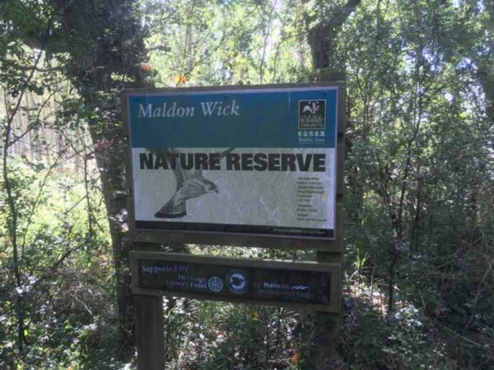 Maldon Wick woods