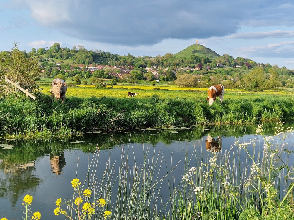 Somerset life by the River Brue, one May evening – by Jeanette Broughton - Adult winner