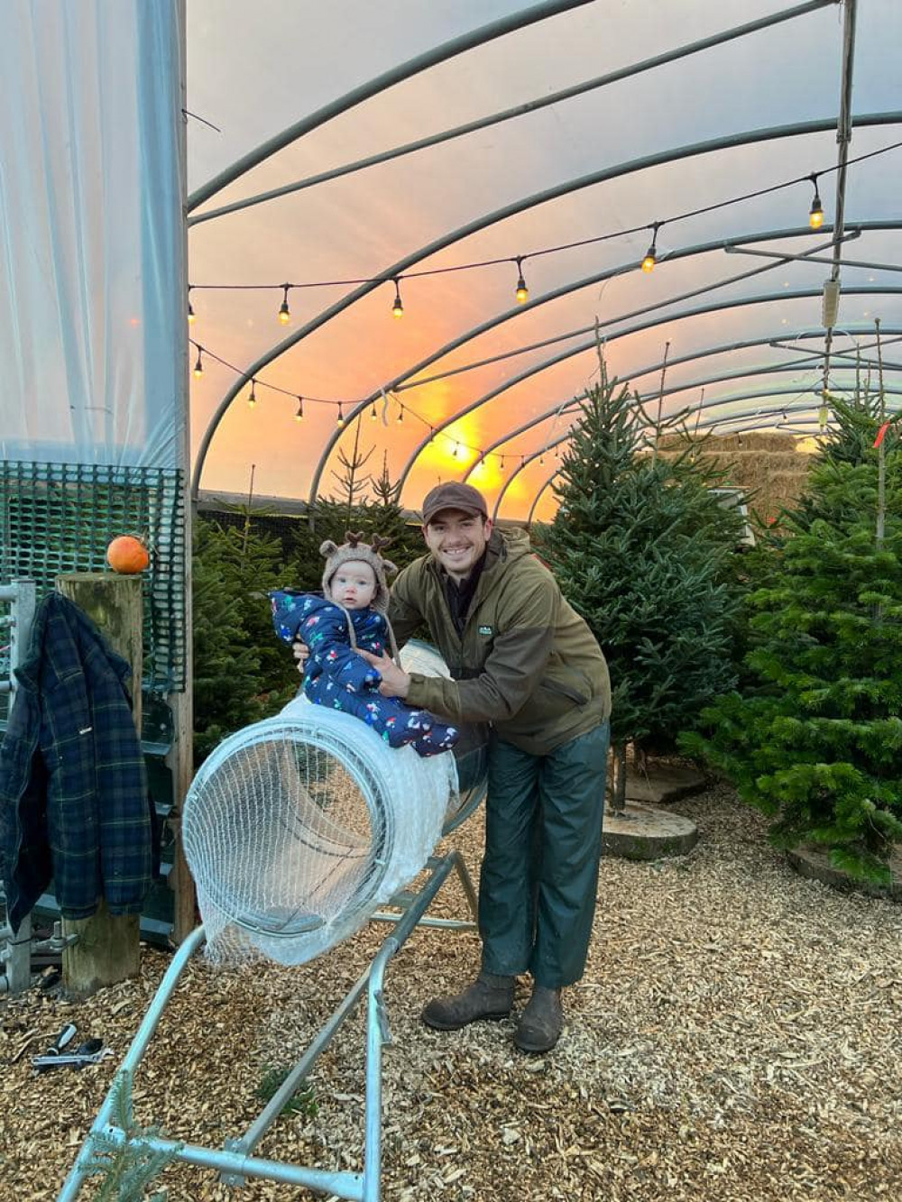 Cowbridge Christmas Tree Farm opens from Saturday November 26th