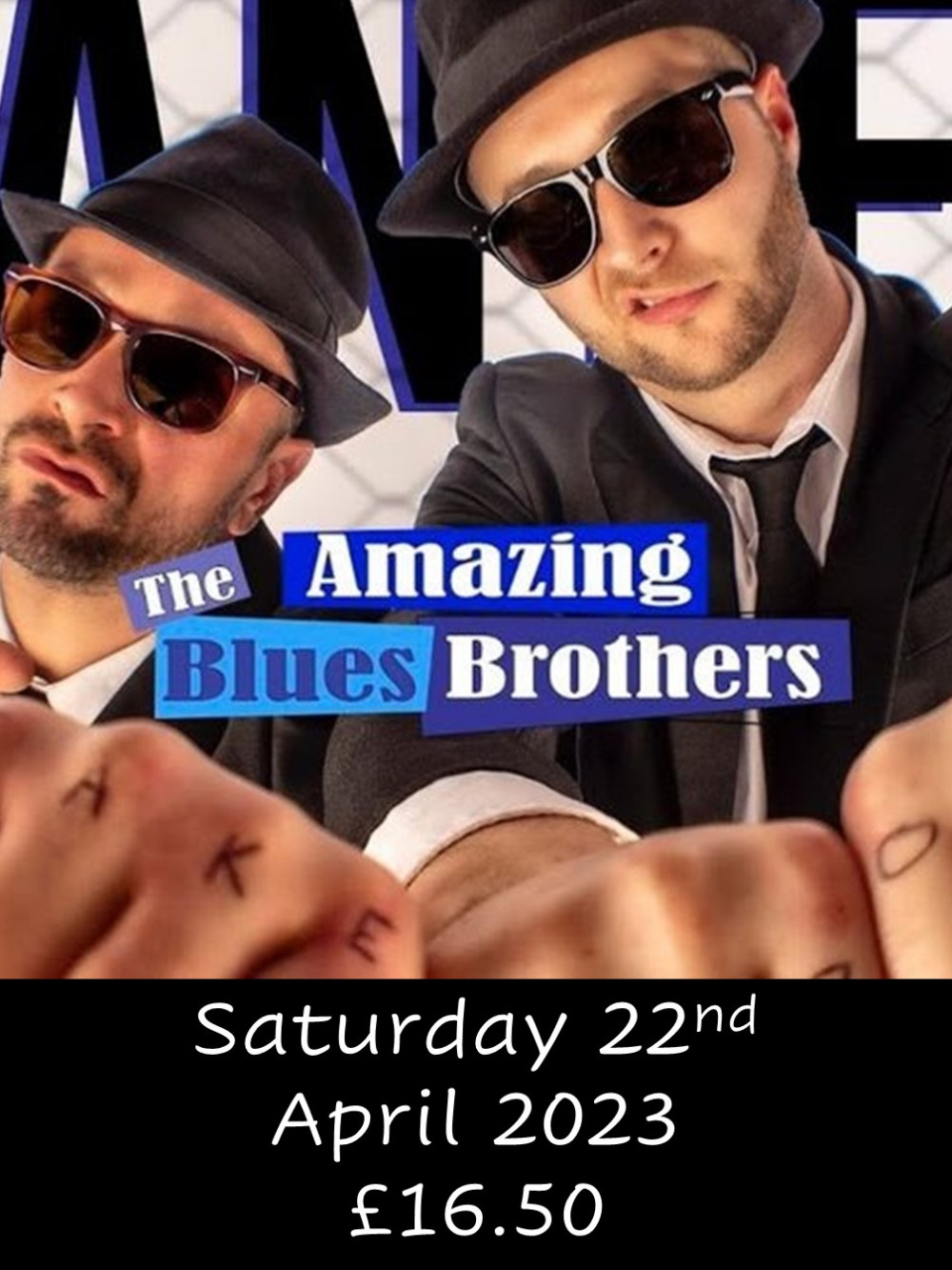 Amazing Blues Brothers