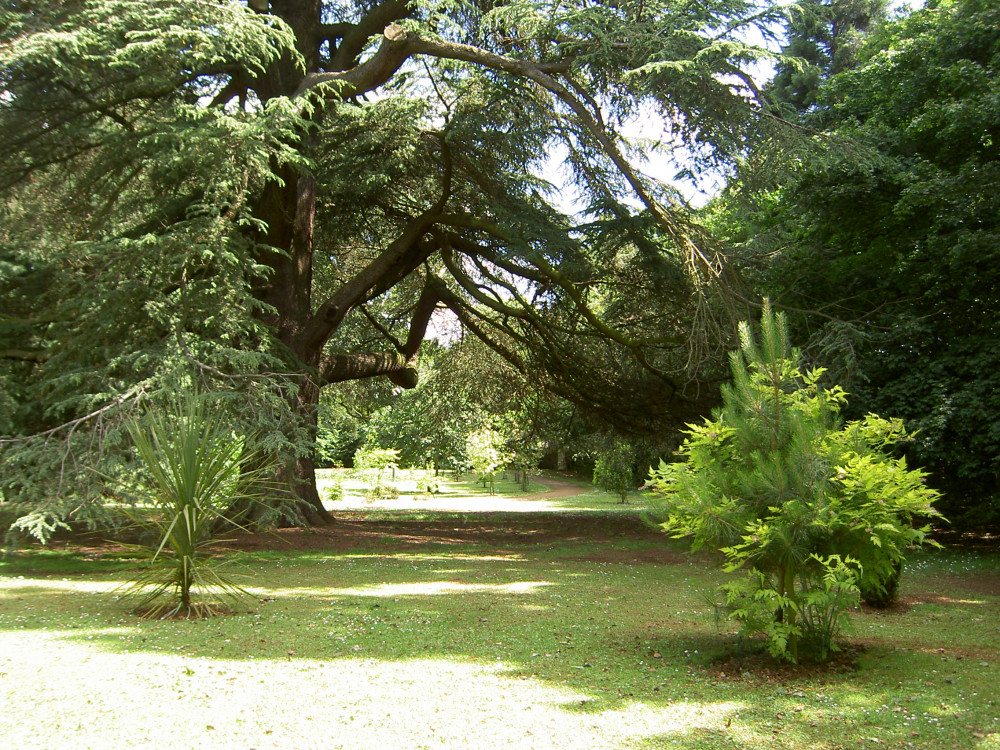 Catmose Arboretum, by the County Council offices 