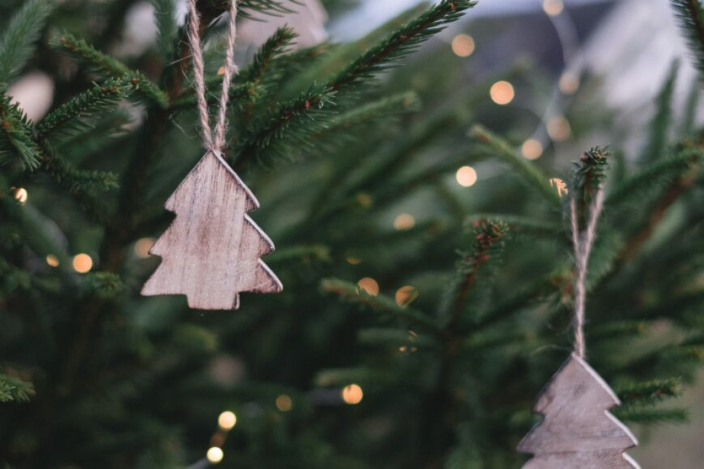 Northcott Brothers Funeral Directors in Sidmouth have organised a memory tree in the run up to Christmas