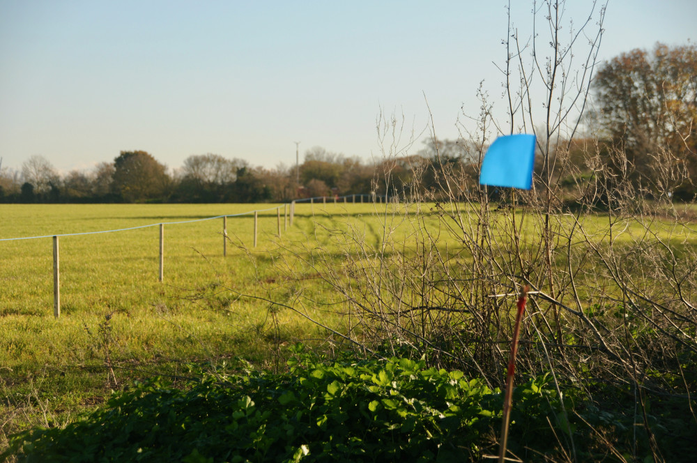 Blue flags along field in Chelmondiston part of infrastructure scheme (©NubNews)