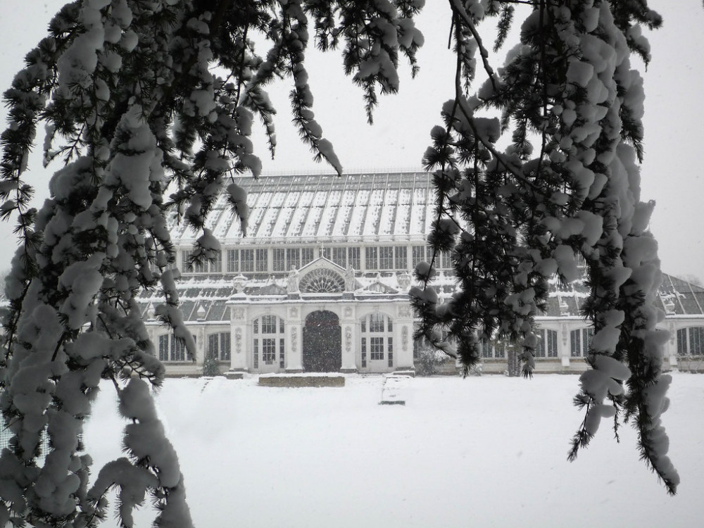 Kew Gardens looking wonderful coated in the fallen snow. Photo: Sue Lowndes.