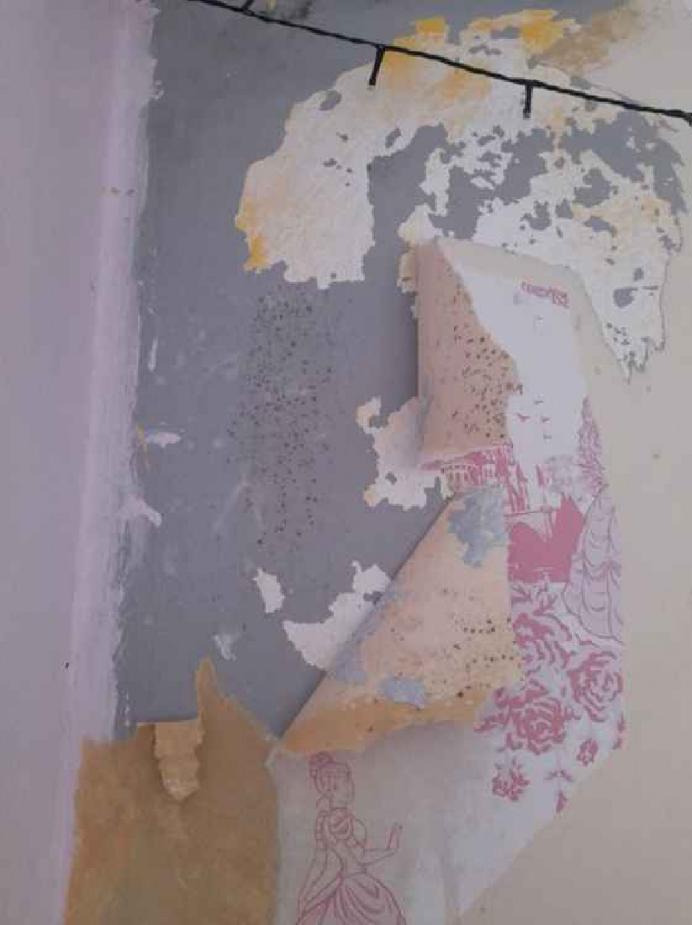Mould can cause real problems in houses. Mould can cause real problems in houses.