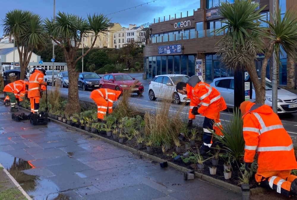 Planting the bulbs (EDDC)