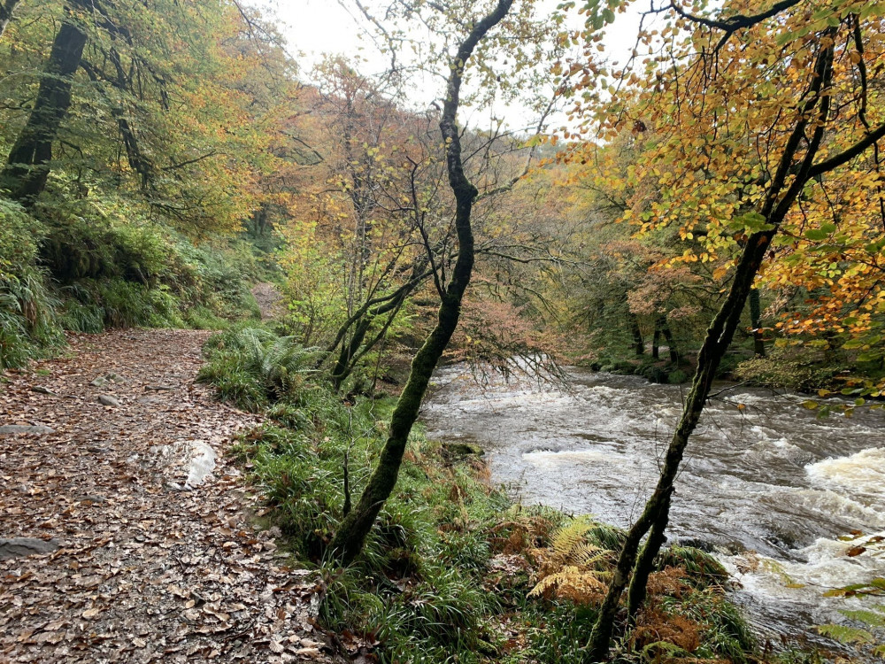 The best winter walks in Somerset 