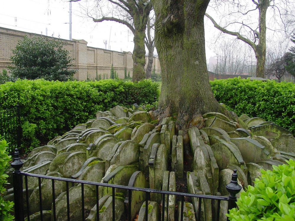 The Hardy Tree and gravestones at Old St Pancras Churchyard in London (photo credit: Wikimedia Commons)