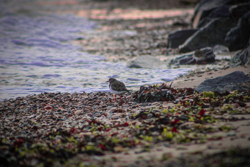 Protect the delicate future (Picture: Lauren Hyde)