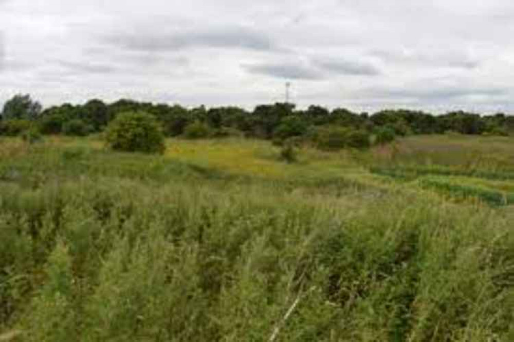 Whetmead Nature Reserve: police have urged residents not to let their children visit the park or the surrounding area alone