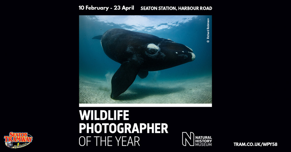 Wildlife Photographer of the Year Exhibition 