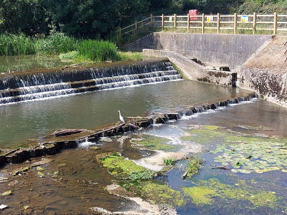 Frome River running low back in the summer Frome River running low back in the summer