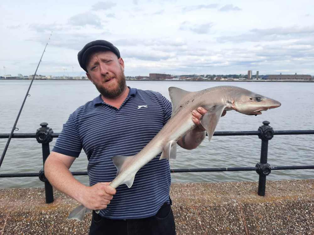 Ben Coba with a starry smooth-hound shark caught in Seacombe. Credit: Wirral Sea Angling Academy